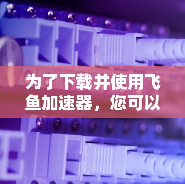 为了下载并使用飞鱼加速器，您可以按照以下步骤操作