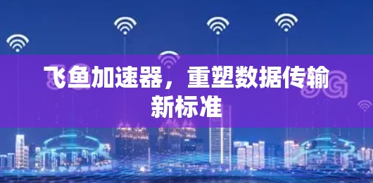 飞鱼加速器，重塑数据传输新标准