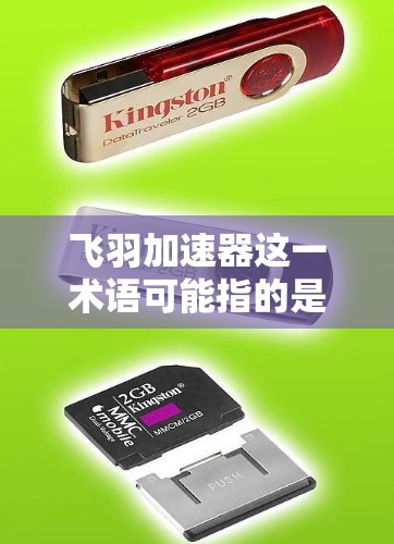 飞羽加速器这一术语可能指的是一种用于加速数据处理、网络连接或数据传输的加速器设备或软件，具体功能和用途可能因厂商而异。至于海外节点，可能指的是该设备或软件在海外地区的部署情况，包括但不限于