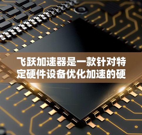 飞跃加速器是一款针对特定硬件设备优化加速的硬件加速软件。它通过运行特定的优化代码，提升设备在不同应用中的性能。以下是关于飞跃加速器的评测内容