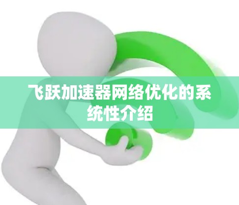 飞跃加速器网络优化的系统性介绍 飞跃加速器网络优化的系统性介绍