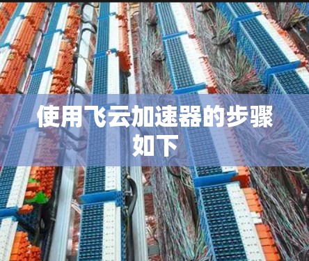 使用飞云加速器的步骤如下