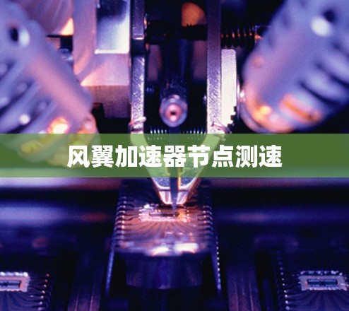 风翼加速器节点测速