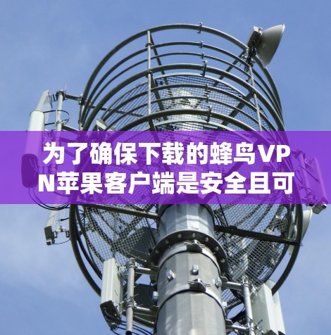 为了确保下载的蜂鸟VPN苹果客户端是安全且可靠的，以下是一些关键步骤和建议