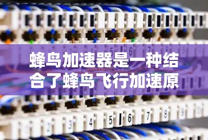 蜂鸟加速器是一种结合了蜂鸟飞行加速原理的生物技术装置，主要用于在紧急情况下提高稳定梯子的使用效率。以下是关于蜂鸟加速器及其如何帮助稳定梯子的详细分析