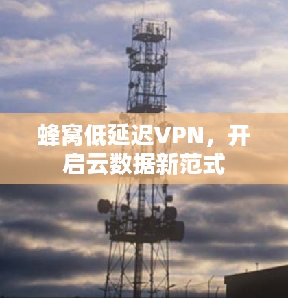 蜂窝低延迟VPN，开启云数据新范式