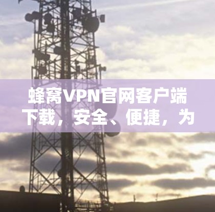 蜂窝VPN官网客户端下载，安全、便捷，为您的网络保驾护航！