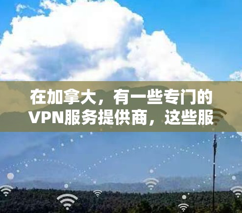 在加拿大，有一些专门的VPN服务提供商，这些服务通常遵循加拿大国内的法律和政策。以下是一些加拿大可能的VPN节点和服务