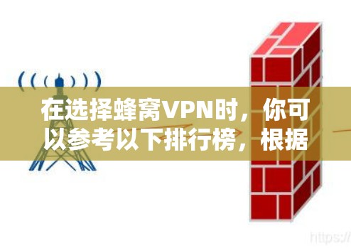 在选择蜂窝VPN时，你可以参考以下排行榜，根据你的需求和预算进行选择