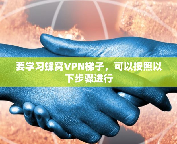 要学习蜂窝VPN梯子，可以按照以下步骤进行