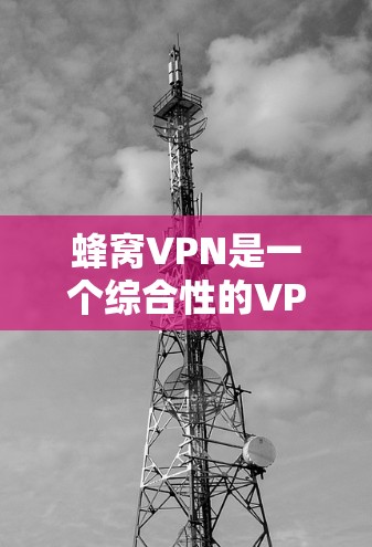 蜂窝VPN是一个综合性的VPN解决方案，旨在提供多种功能和服务，满足不同用户需求。以下是对蜂窝VPN的详细的总结