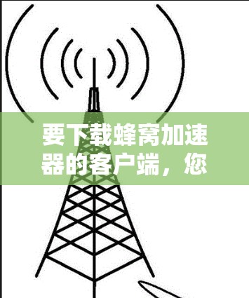 要下载蜂窝加速器的客户端，您可以按照以下步骤操作
