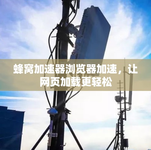蜂窝加速器浏览器加速，让网页加载更轻松