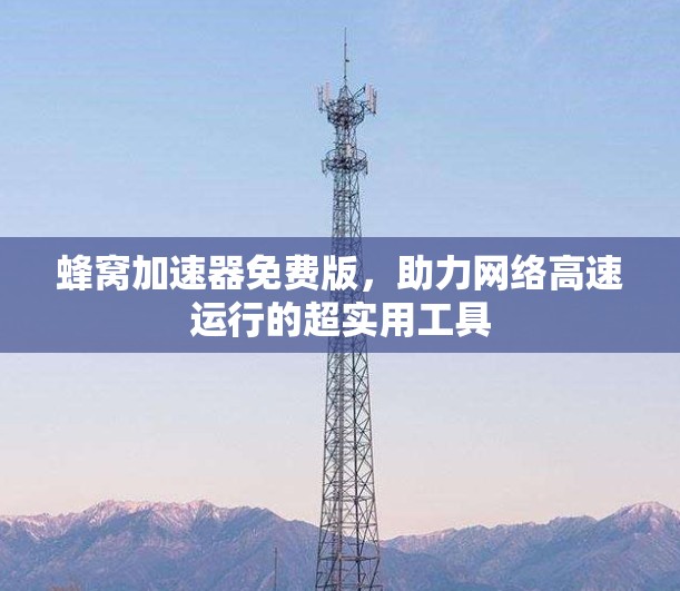 蜂窝加速器免费版，助力网络高速运行的超实用工具
