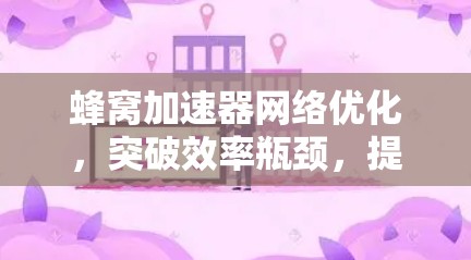 蜂窝加速器网络优化，突破效率瓶颈，提升用户体验
