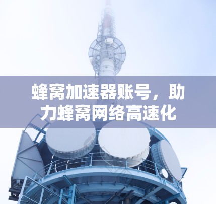 蜂窝加速器账号，助力蜂窝网络高速化