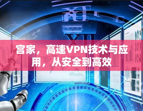 宫家，高速VPN技术与应用，从安全到高效