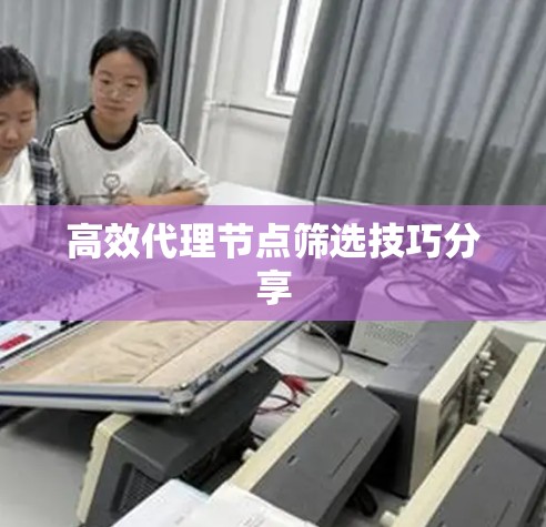 高效代理节点筛选技巧分享