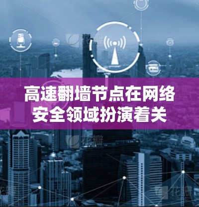 高速翻墙节点在网络安全领域扮演着关键角色，主要用于阻止外部访问，同时保护内部数据。以下是对高速翻墙节点的详细分析