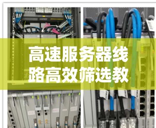 高速服务器线路高效筛选教程
