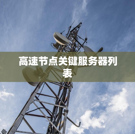 高速节点关键服务器列表