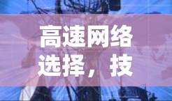 高速网络选择，技术与策略的智慧