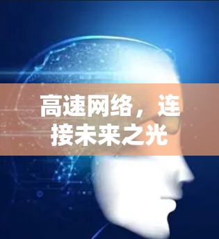 高速网络，连接未来之光