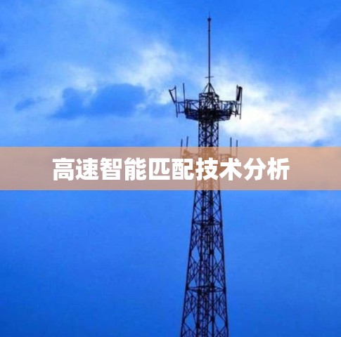 高速智能匹配技术分析