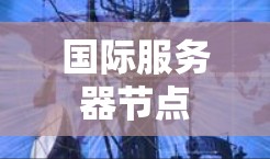 国际服务器节点