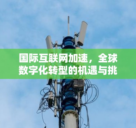 国际互联网加速，全球数字化转型的机遇与挑战
