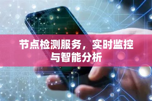 节点检测服务，实时监控与智能分析