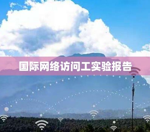 国际网络访问工实验报告