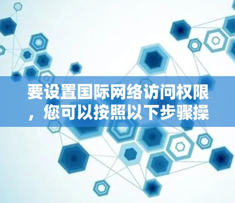 要设置国际网络访问权限，您可以按照以下步骤操作