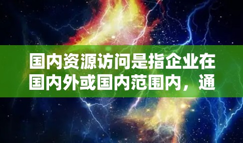 国内资源访问是指企业在国内外或国内范围内，通过交换资源、技术或服务等方式，获得他国资源或服务的经济往来。这可能包括但不限于以下几种