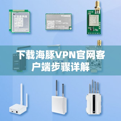 下载海豚VPN官网客户端步骤详解