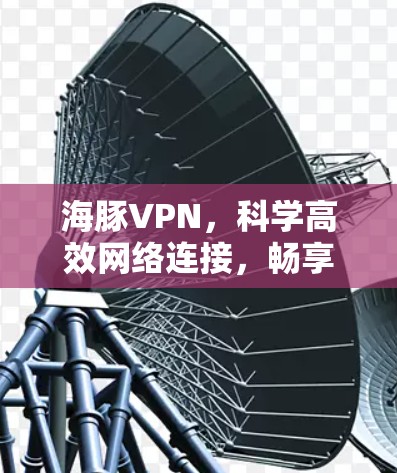 海豚VPN，科学高效网络连接，畅享便捷生活