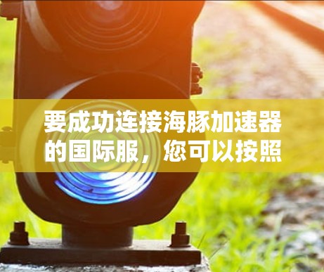 要成功连接海豚加速器的国际服，您可以按照以下步骤操作