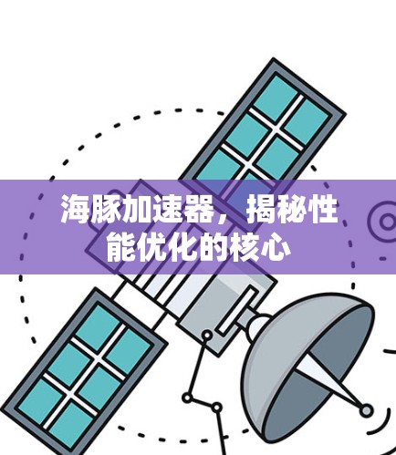 海豚加速器，揭秘性能优化的核心