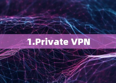 1.Private VPN