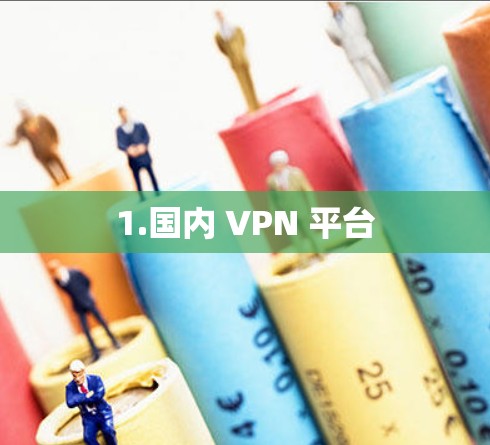 1.国内 VPN 平台 1.国内 VPN 平台