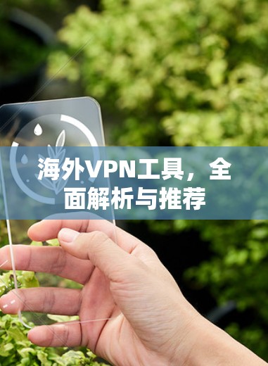 海外VPN工具，全面解析与推荐