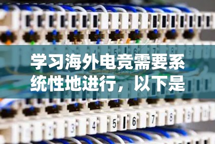 学习海外电竞需要系统性地进行，以下是一个分步骤的学习计划