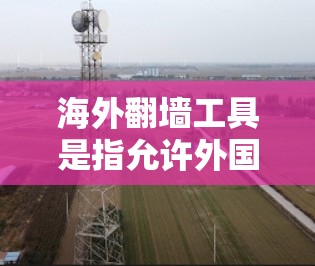 海外翻墙工具是指允许外国用户访问中国网站的工具，通常基于中国的法律法规，如CCPA，以保护用户隐私和网络安全。以下是对这些工具的总结