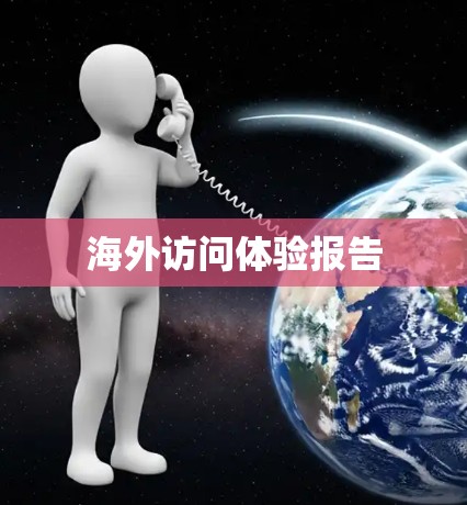 海外访问体验报告