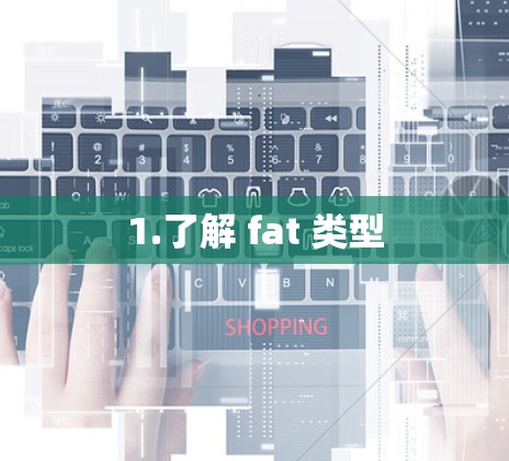 1.了解 fat 类型