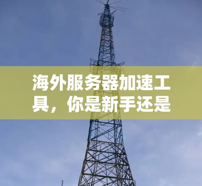 海外服务器加速工具，你是新手还是专家？全面解析与推荐