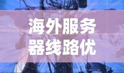 海外服务器线路优化方案,构建高效传输网络 海外服务器线路优化方案,构建高效传输网络