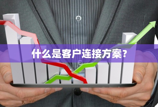什么是客户连接方案? 什么是客户连接方案?