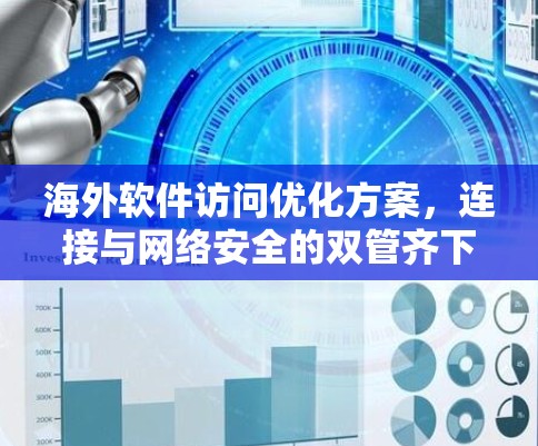 海外软件访问优化方案，连接与网络安全的双管齐下的安全防护